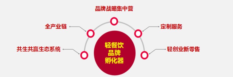 餐饮管理6大管理要点：打造高效运营的秘籍